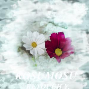 kosumosukakou y
