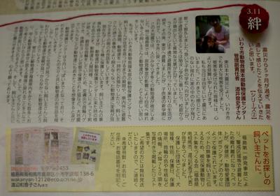 110802wannyan-2.jpg