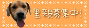 matsuken