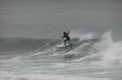 1115 (39)