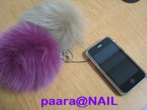 IMG_3775.jpg