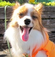 IMG_2757.jpg