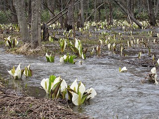 IMG_6829.jpg