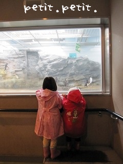 IMG_6860.jpg