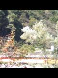 20091028001510.jpg