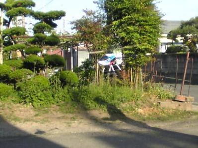 SBSH0007_20100606183825.jpg