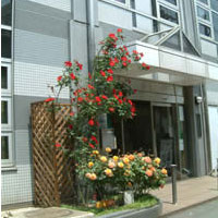 西ヶ原東児童館