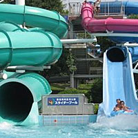 国営昭和記念公園「レインボ
