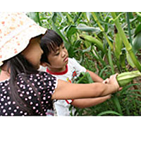 那須・野菜を学ぼう