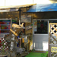 だちょう牧場