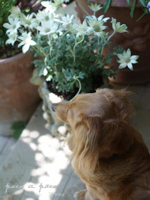201007161.jpg