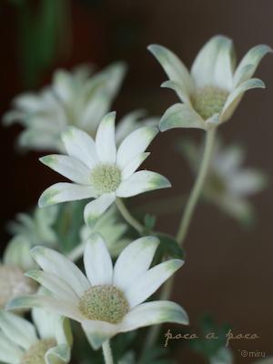 201007162.jpg