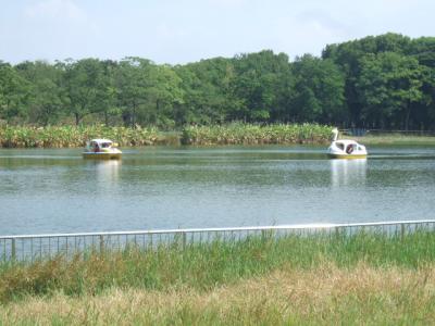 DSCF8625.jpg