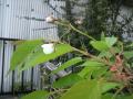 2011050109520001.jpg