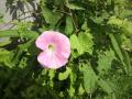 2011081309040000.jpg