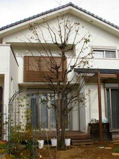 IMGP3670.jpg