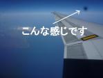 黒点