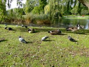 DSC00802公園