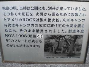 CIMG4394.jpg