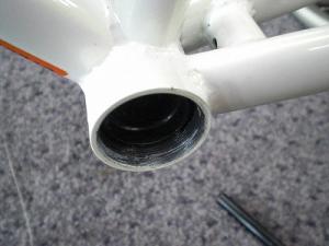 CIMG5342.jpg