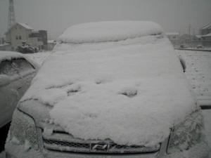 CIMG5498.jpg