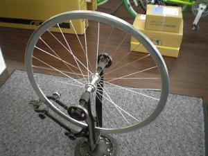 CIMG5895.jpg