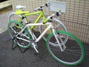 CIMG5908.jpg