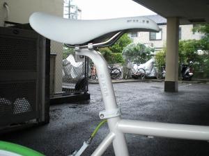 CIMG6310.jpg