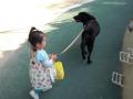 Surara & King