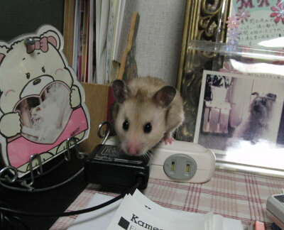 ぐらんまのにおい?