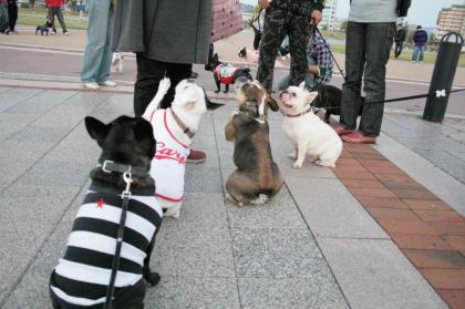 おやつ待ち