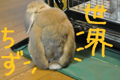 せかいちず