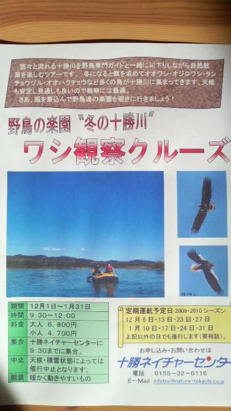 ワシクルーズに行きたいオレ