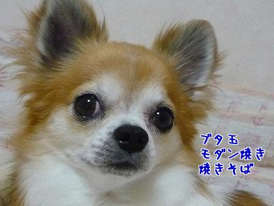 PMRRVDPY.jpg