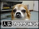 br_decobanner_20090926142905.gif