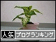 br_decobanner_20090928152645.gif