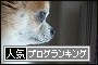 br_decobanner_20090930135547.gif