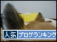 br_decobanner_20091016145359.gif