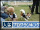 br_decobanner_20091018130622.gif
