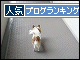 br_decobanner_20091020160342.gif