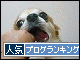 br_decobanner_20091031145739.gif