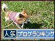 br_decobanner_20091103151453.gif