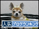 br_decobanner_20091105214707.gif