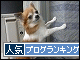 br_decobanner_20091107215517.gif