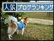 br_decobanner_20091108132938.gif