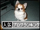 br_decobanner_20091115161401.gif