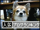 br_decobanner_20091118214736.gif