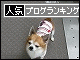 br_decobanner_20091122173743.gif