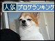 br_decobanner_20091129141321.gif