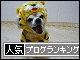 br_decobanner_20091129145337.gif